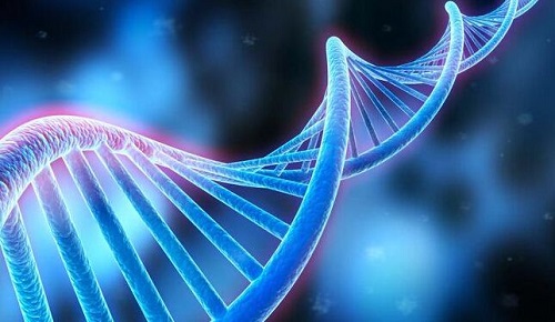 詳細分析福州第三代試管嬰兒醫院排名