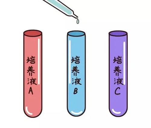 赴泰生子過程需要注意的事項(xiàng)是什么？