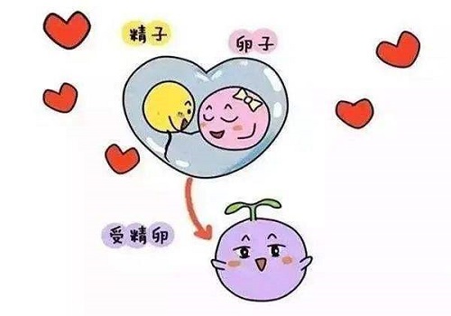 2022年三代試管嬰兒技術有什么弊端？