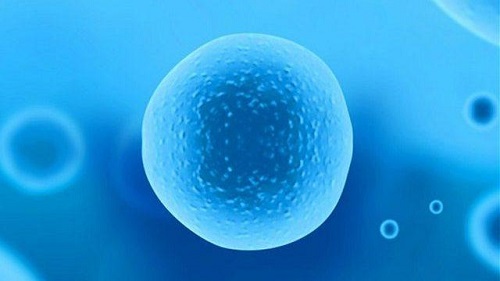 謝天華妻子人工受孕？人工受孕和試管嬰兒一樣嗎