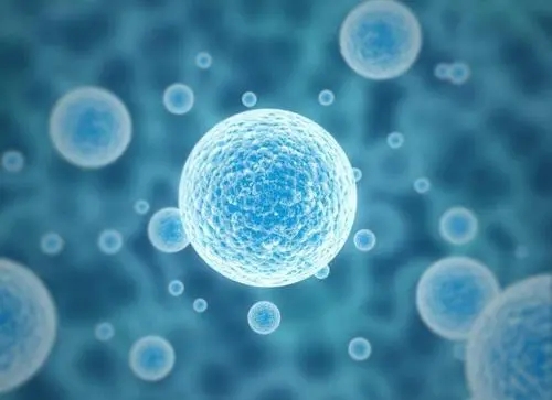 2022年第三代試管嬰兒醫(yī)院排行榜的詳細情況