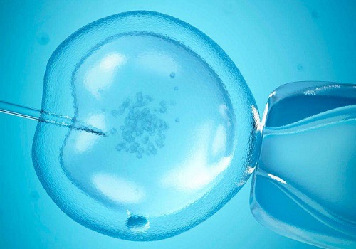 10個人做試管嬰兒幾個能成功？如何做能提高試管成功率？