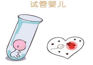 在醫(yī)院做試管嬰兒費用多少錢